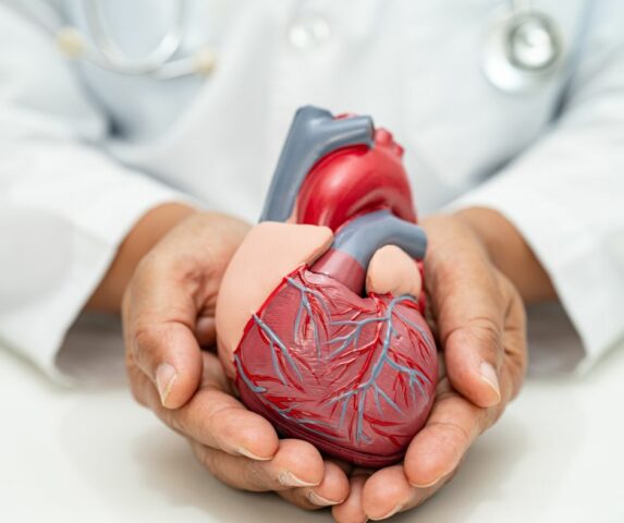 santé cardiovasculaire